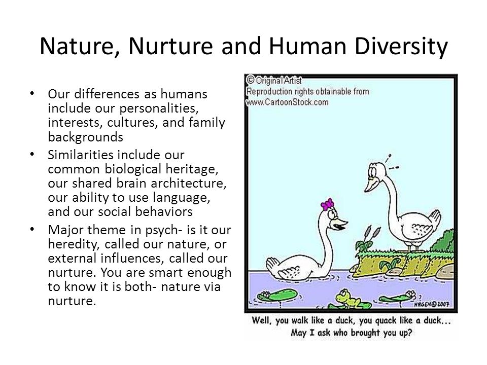 Nature nurture and human diversity essay